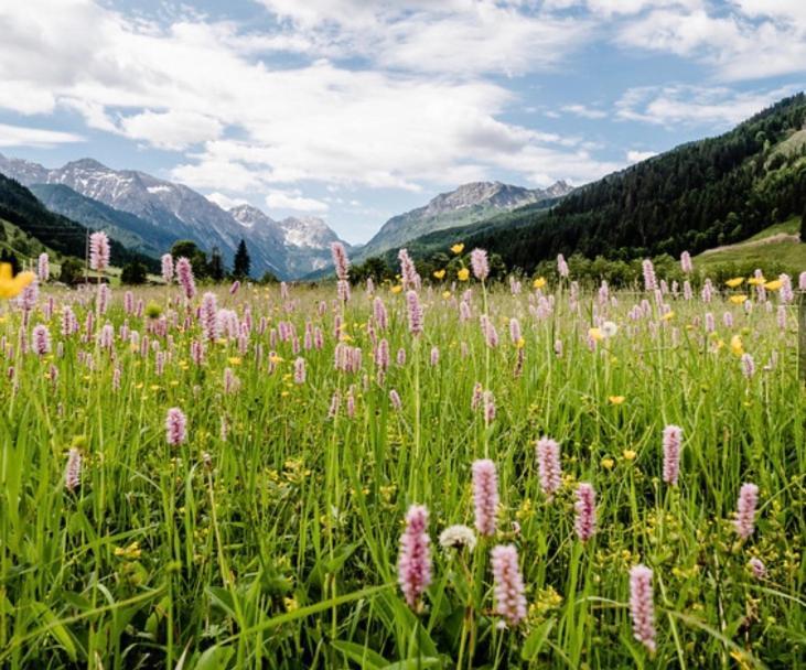 Hotel Alpina クライナル エクステリア 写真