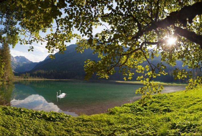 Hotel Alpina クライナル エクステリア 写真